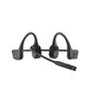 Shokz C110-AC-BK Black kaina ir informacija | Ausinės | pigu.lt