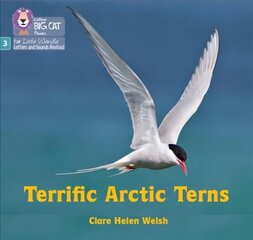 Terrific Arctic Terns: Phase 3 Set 2 kaina ir informacija | Knygos paaugliams ir jaunimui | pigu.lt