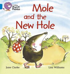 Mole and the New Hole: Band 04/Blue цена и информация | Книги для подростков и молодежи | pigu.lt