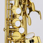 Saksofonas Chateau Valencay CAS-22 Alto kaina ir informacija | Pučiamieji instrumentai | pigu.lt