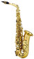 Saksofonas Chateau Valencay CAS-22 Alto kaina ir informacija | Pučiamieji instrumentai | pigu.lt