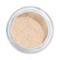 Biri pudra Artdeco Translucent Loose Powder, Light 02, 8 g kaina ir informacija | Makiažo pagrindai, pudros | pigu.lt