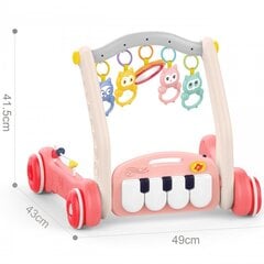 Толкатель и коврик Woopie 2в1 цена и информация | Игрушки для малышей | pigu.lt