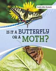 Is It a Butterfly or a Moth? kaina ir informacija | Knygos paaugliams ir jaunimui | pigu.lt