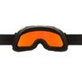 Slidinėjimo akiniai Alpina Blackcomb Q-Lite, juodi/žali цена и информация | Slidinėjimo akiniai | pigu.lt