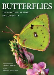 Butterflies: Their Natural History and Diversity 2nd edition цена и информация | Книги о питании и здоровом образе жизни | pigu.lt