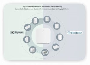 Zigbee 3.0 šliuzo valdymo pultas / Bluetooth kaina ir informacija | Valdikliai | pigu.lt