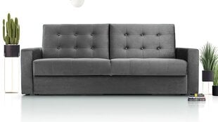 Диван-кровать BONN - компактный диван со спальной функцией и основанием для кровати 224x88 (цвет: серый) цена и информация | Диваны | pigu.lt