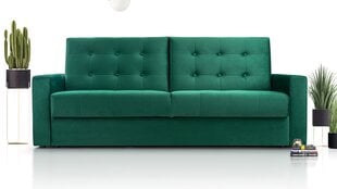 Sofa-lova Bonn, žalia цена и информация | Диваны | pigu.lt