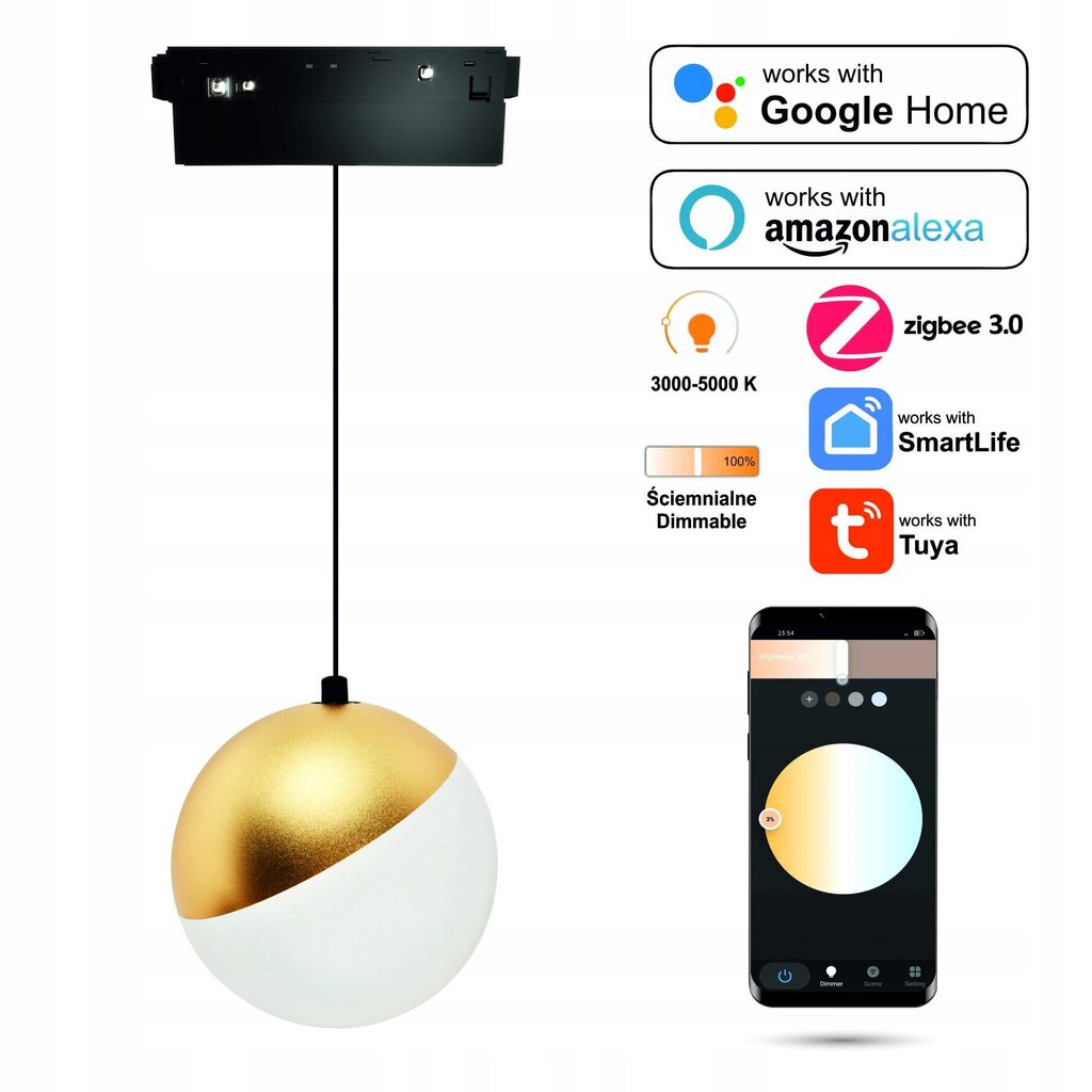 Pakabinamas šviestuvas Sphere kaina ir informacija | Pakabinami šviestuvai | pigu.lt