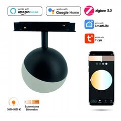 Подвесная лампа Sphere цена и информация | Потолочные светильники | pigu.lt