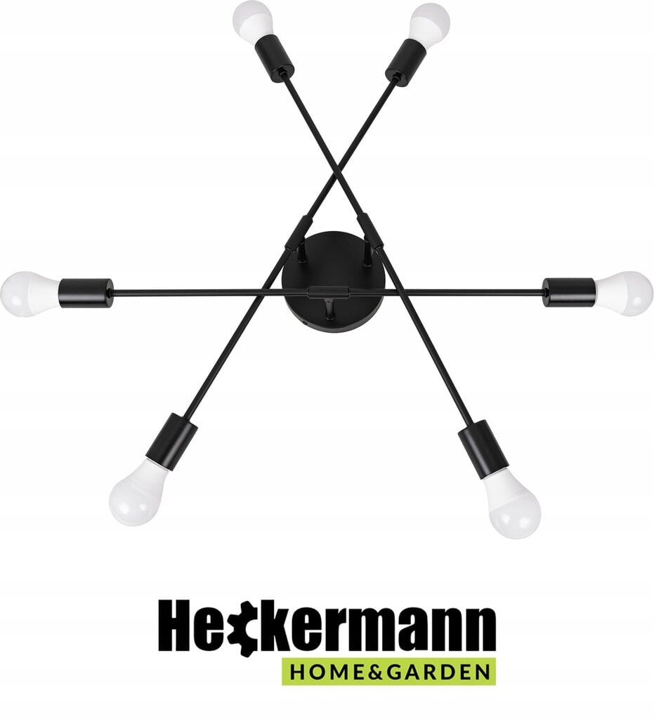 Heckermann pakabinamas šviestuvas kaina ir informacija | Pakabinami šviestuvai | pigu.lt