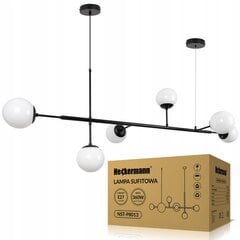 Heckermann pakabinamas šviestuvas Loft kaina ir informacija | Pakabinami šviestuvai | pigu.lt