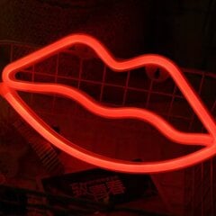 NEON LED HANGING USTA WALL LAMP USB 3xAA цена и информация | Детали интерьера | pigu.lt