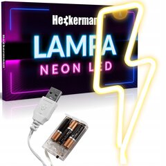 NEON LED WALL HANGING FLASH USB 3xAA цена и информация | Детали интерьера | pigu.lt