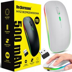 LAPTOP COMPUTER MOUSE с подсветкой 500mAh цена и информация | Мыши | pigu.lt