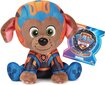 Pliušinis žaislas Paw Patrol (Šunyčiai patruliai) Zuma, 17 cm kaina ir informacija | Minkšti (pliušiniai) žaislai | pigu.lt