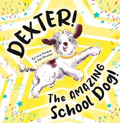 Dexter! The AMAZING School Dog! kaina ir informacija | Knygos mažiesiems | pigu.lt