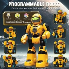 Интерактивный радиоуправляемый робот Remote Control Robot цена и информация | Игрушки для мальчиков | pigu.lt