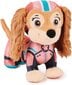 Pliušinis žaislas šuo Paw Patrol (Šunyčiai patruliai) Liberty, 20 cm kaina ir informacija | Minkšti (pliušiniai) žaislai | pigu.lt