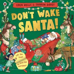 Don't Wake Santa: A lift-the-flap Christmas book цена и информация | Книги для малышей | pigu.lt