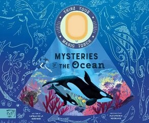 Mysteries of the Ocean: Includes Magic Torch Which Illuminates More Than 50 Marine Animals цена и информация | Книги для подростков и молодежи | pigu.lt