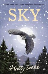 Sky цена и информация | Книги для подростков и молодежи | pigu.lt