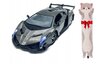 Vaikiškas lenktyninis automobilis su vairu RC NR1 ir pagalvė Katė, 50 cm kaina ir informacija | Žaislai berniukams | pigu.lt