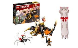 71782 LEGO® Ninjago Cole Žemės drakonas EVO, 285 d. ir dovana pagalvė Katė, 50 cm kaina ir informacija | Konstruktoriai ir kaladėlės | pigu.lt