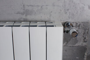 Алюминиевый радиатор Plus Evo 5, Италия цена и информация | Радиаторы отопления | pigu.lt