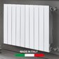 Aliuminio radiatorius Plus Evo 6, Italija цена и информация | Radiatoriai, konvektoriai | pigu.lt