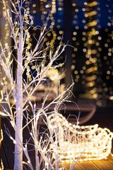 Kalėdinė dekoracija LED Beržas Springos CL0952 цена и информация | Рождественское украшение CA1031, 10 см | pigu.lt