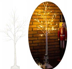 Kalėdinė dekoracija LED Beržas Springos CL0953 kaina ir informacija | Kalėdinės dekoracijos | pigu.lt