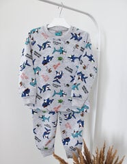 Пижама для мальчиков Citcit, серая цена и информация | Пижамы, халаты для мальчиков | pigu.lt