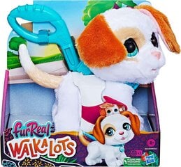 Žaislinis šuniukas su pavadėliu FurReal Walkalots цена и информация | Игрушки для девочек | pigu.lt