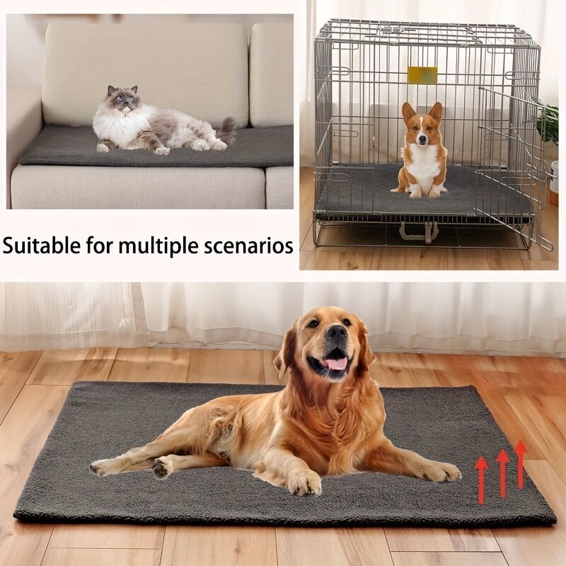 Savaime įkaistantis naminių gyvūnėlių kilimėlis Hobbydog, įv. dydžių kaina ir informacija | Guoliai, pagalvėlės | pigu.lt