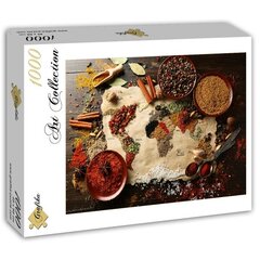 Dėlionė World map in Spices, 1000 d. kaina ir informacija | Dėlionės (puzzle) | pigu.lt