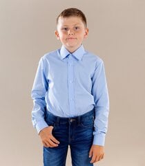 Marškiniai berniukams, mėlyni kaina ir informacija | Marškinėliai berniukams | pigu.lt