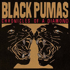 Vinilinė plokštelė Black Pumas Chronicles Of A Diamond kaina ir informacija | Vinilinės plokštelės, CD, DVD | pigu.lt