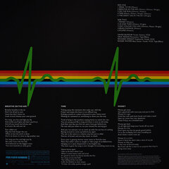 Виниловая пластинка Pink Floyd «The Dark Side Of The Moon» цена и информация | Виниловые пластинки, CD, DVD | pigu.lt