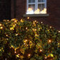 Kalėdinė girlianda, Lempučių užuolaida, 600 LED, 6x2 m kaina ir informacija | Girliandos | pigu.lt