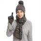 Žiemos rinkinys (pirštinės, šalikas, kepurė) M108006, pilka kaina ir informacija | Kepurės moterims | pigu.lt