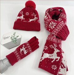 Зимний комплект (перчатки, шарф, шапка) М108001, красный цена и информация | Женские шапки | pigu.lt