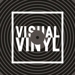 Visual Vinyl kaina ir informacija | Knygos apie meną | pigu.lt