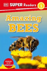 DK Super Readers Level 2 Amazing Bees kaina ir informacija | Knygos paaugliams ir jaunimui | pigu.lt