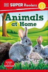 DK Super Readers Level 2 Animals at Home цена и информация | Книги для подростков и молодежи | pigu.lt