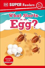 DK Super Readers Pre-Level What Starts in an Egg? kaina ir informacija | Knygos paaugliams ir jaunimui | pigu.lt