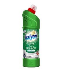 Kalyon WC valiklis Spring Breez, 750 ml kaina ir informacija | Valikliai | pigu.lt