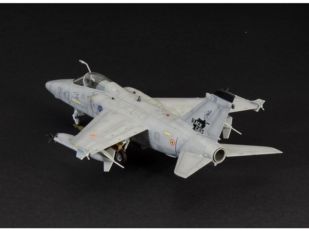 Konstruktorius Italeri AMX Ghibli Plane kaina ir informacija | Konstruktoriai ir kaladėlės | pigu.lt