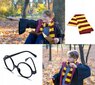 Aksesuarų rinkinys Zaxer Harry Potter 5vnt. цена и информация | Žaislai berniukams | pigu.lt